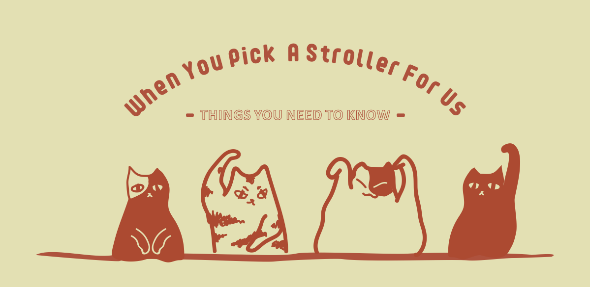 How to choose stroller for cats