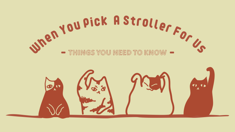 How to choose stroller for cats