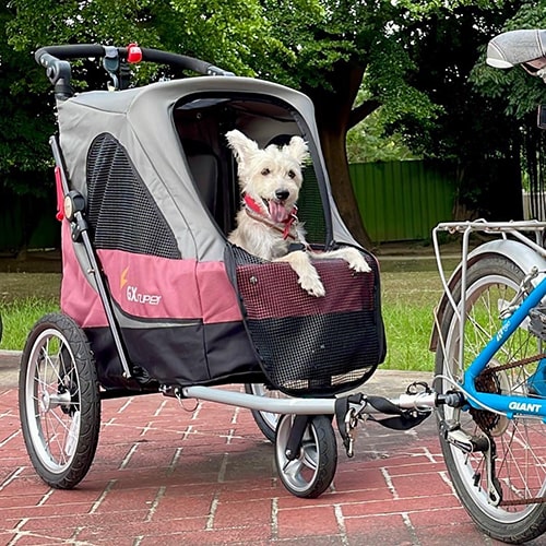 沛德奧-寵物推車-腳踏車 (4)